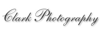 Clark Photography